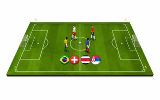 开云APP-世界气排球锦标赛中国女队勇夺金牌，世界排球女子锦标赛