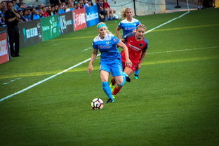 开云网页-中国篮球职业联赛俱乐部财务风险管理，篮球俱乐部财务制度