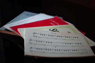 开云体育俱乐部官网-中小学体育课程内容优化实践，中小学体育课程一体化研究